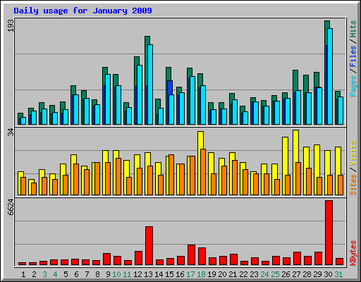 Daily usage for January 2009