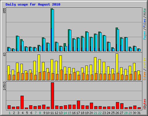 Daily usage for August 2010
