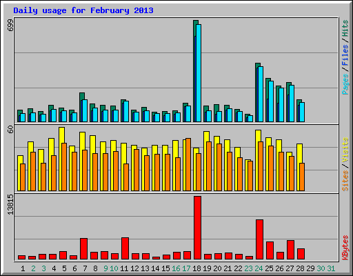 Daily usage for February 2013