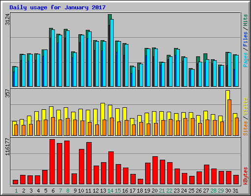 Daily usage for January 2017
