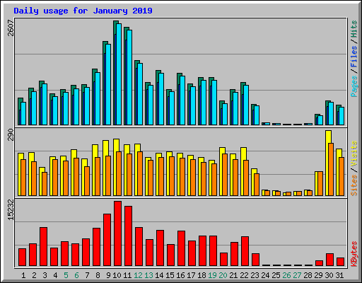 Daily usage for January 2019