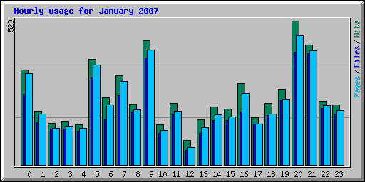 Hourly usage for January 2007