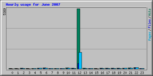 Hourly usage for June 2007