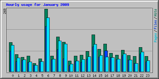 Hourly usage for January 2009