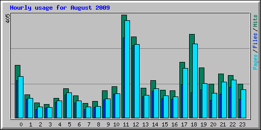Hourly usage for August 2009