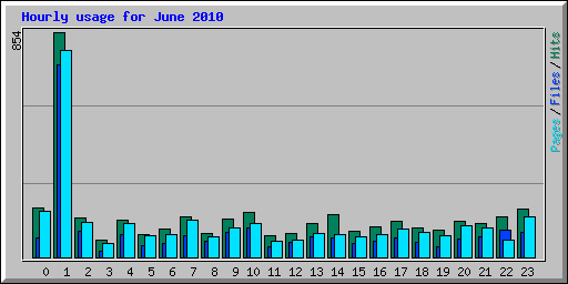 Hourly usage for June 2010