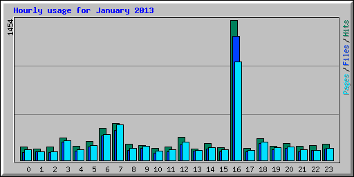 Hourly usage for January 2013