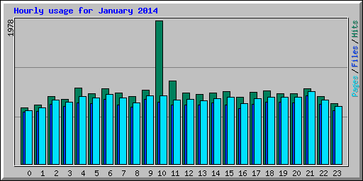 Hourly usage for January 2014