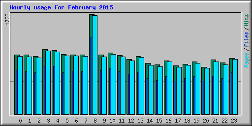 Hourly usage for February 2015