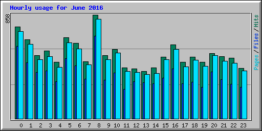 Hourly usage for June 2016