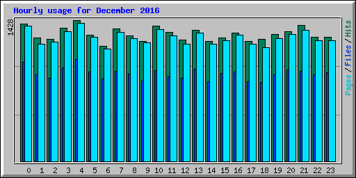 Hourly usage for December 2016
