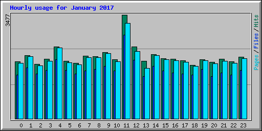 Hourly usage for January 2017