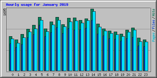 Hourly usage for January 2019