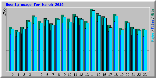 Hourly usage for March 2019
